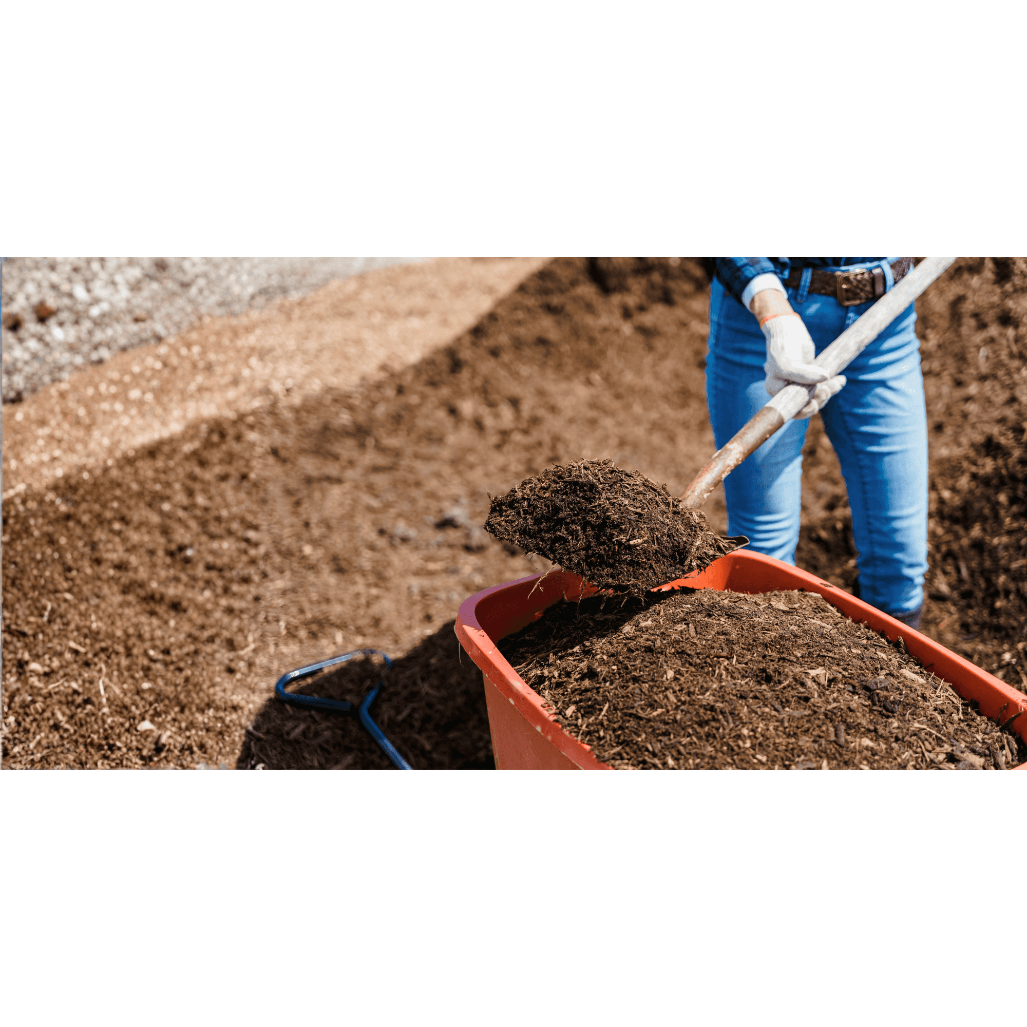 Multi-purpose vs. Ericaceous Compost: Choose the Right Compost for Your Garden